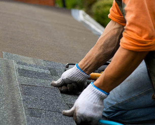 Best Flat Roof Repair Services  in Fort Morgan, CO